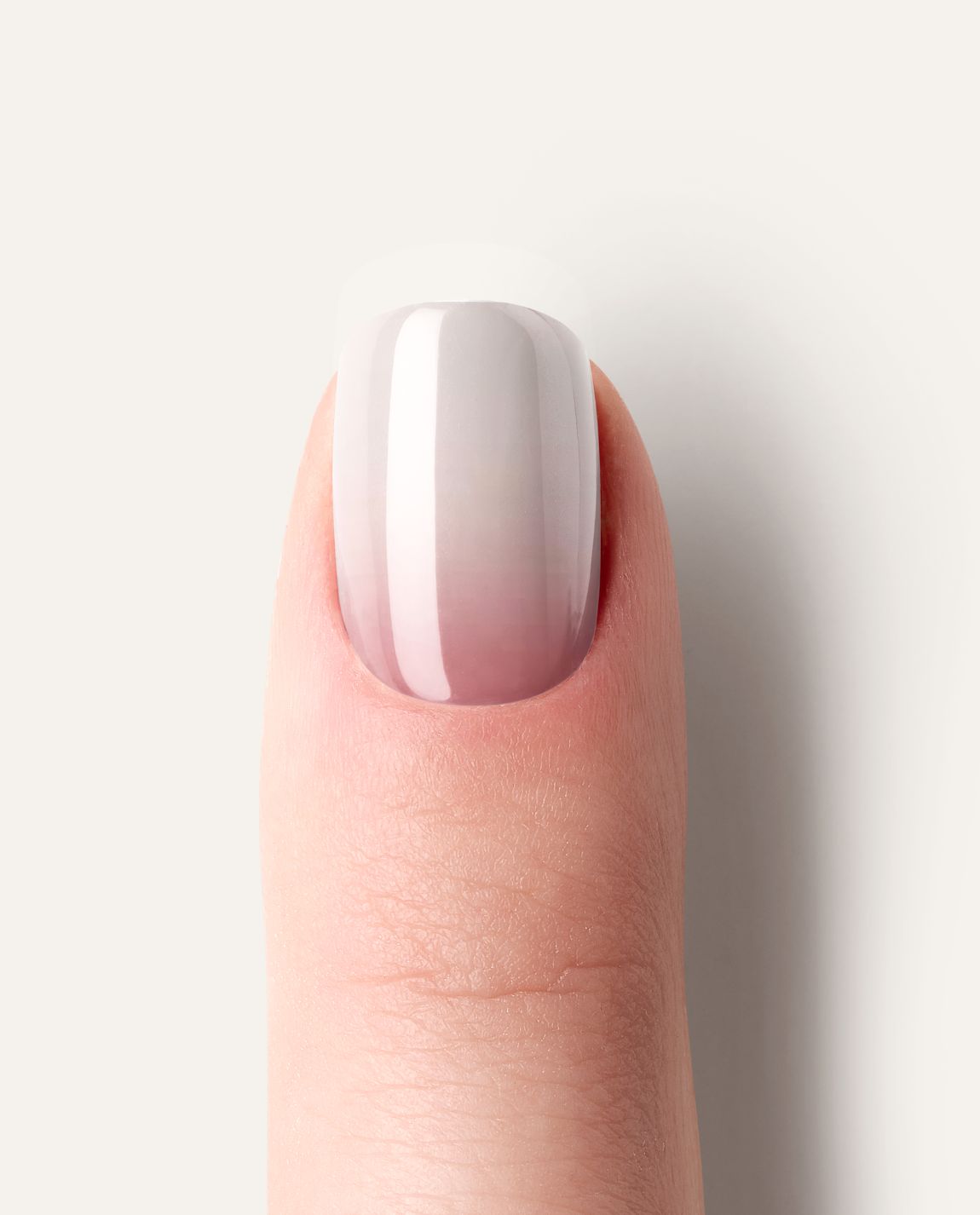 Detailaufnahme Babyboomer Rose – eleganter Ombré-Verlauf von Rosé zu Weiß.