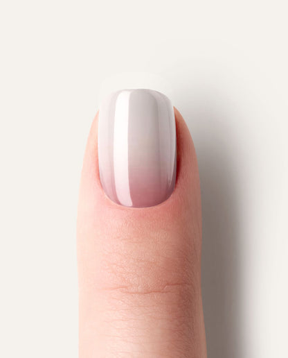 Detailaufnahme Babyboomer Rose – eleganter Ombré-Verlauf von Rosé zu Weiß.