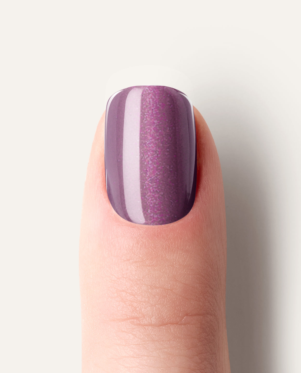 Detailaufnahme Zuckerzwetschke – Cat-Eye Effekt in sattem Pflaumenton.