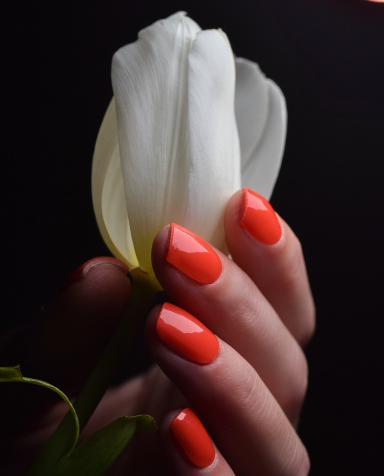 Unifarbene UV Gel Nägel in Korall